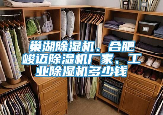 巢湖除濕機(jī)、合肥峻邁除濕機(jī)廠家、工業(yè)除濕機(jī)多少錢