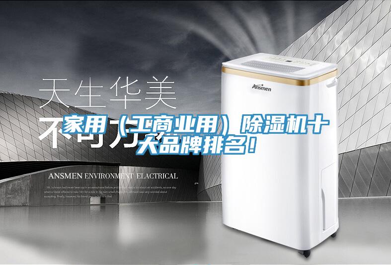 家用（工商業(yè)用）除濕機十大品牌排名！