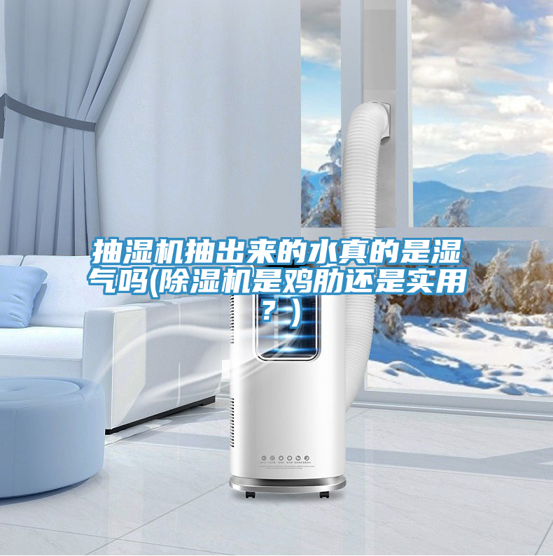 抽濕機(jī)抽出來(lái)的水真的是濕氣嗎(除濕機(jī)是雞肋還是實(shí)用？)