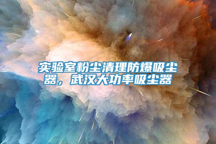 實(shí)驗(yàn)室粉塵清理防爆吸塵器，武漢大功率吸塵器