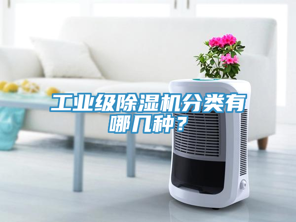 工業(yè)級(jí)除濕機(jī)分類有哪幾種？