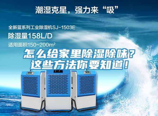 怎么給家里除濕除味？這些方法你要知道！