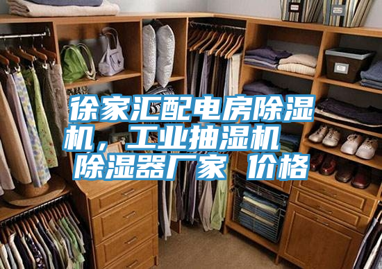 徐家匯配電房除濕機(jī)，工業(yè)抽濕機(jī)  除濕器廠家 價(jià)格