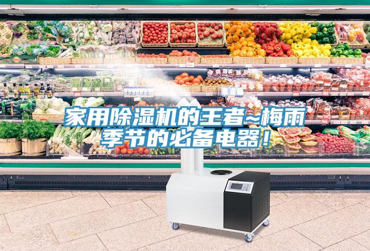 家用除濕機的王者~梅雨季節(jié)的必備電器！