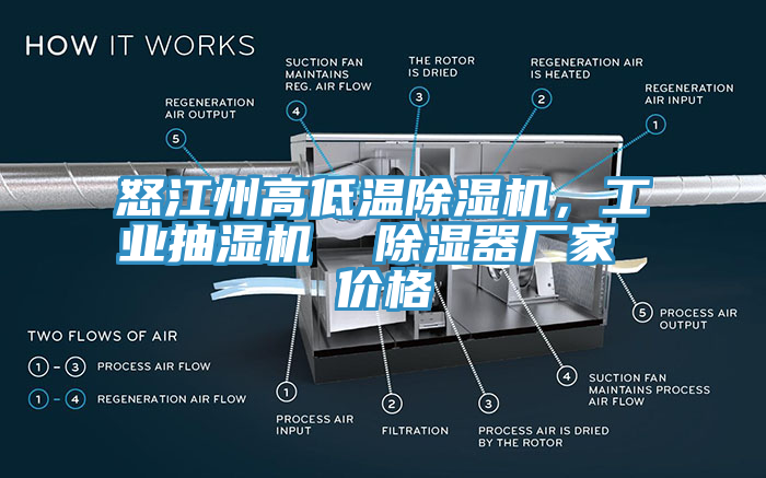 怒江州高低溫除濕機(jī)，工業(yè)抽濕機(jī)  除濕器廠家 價(jià)格