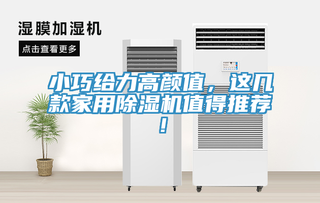 小巧給力高顏值，這幾款家用除濕機(jī)值得推薦！