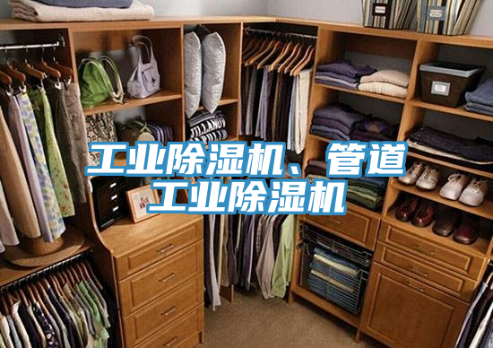 工業(yè)除濕機、管道工業(yè)除濕機