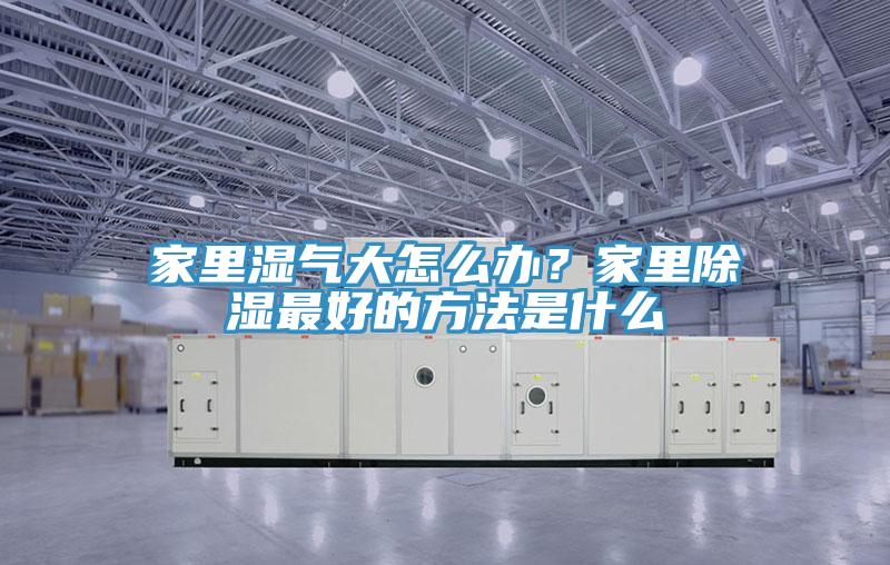 家里濕氣大怎么辦？家里除濕最好的方法是什么