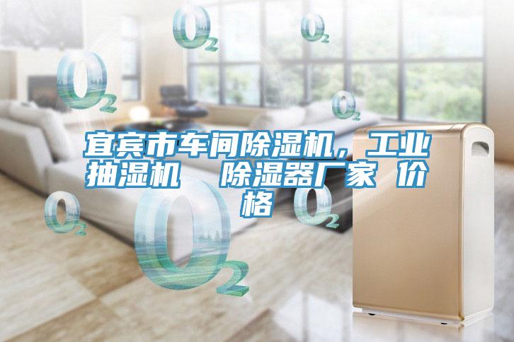 宜賓市車間除濕機，工業(yè)抽濕機  除濕器廠家 價格