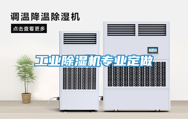 工業(yè)除濕機(jī)專(zhuān)業(yè)定做
