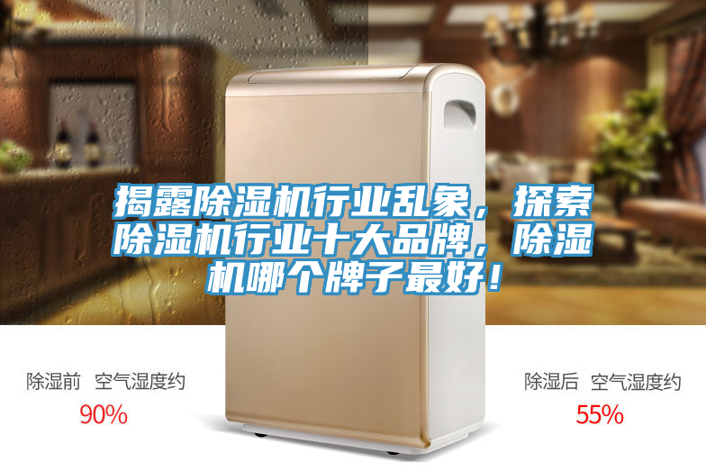 揭露除濕機(jī)行業(yè)亂象，探索除濕機(jī)行業(yè)十大品牌，除濕機(jī)哪個(gè)牌子最好！