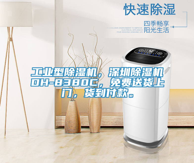 工業(yè)型除濕機(jī)，深圳除濕機(jī)DH-8380C，免費(fèi)送貨上門，貨到付款。