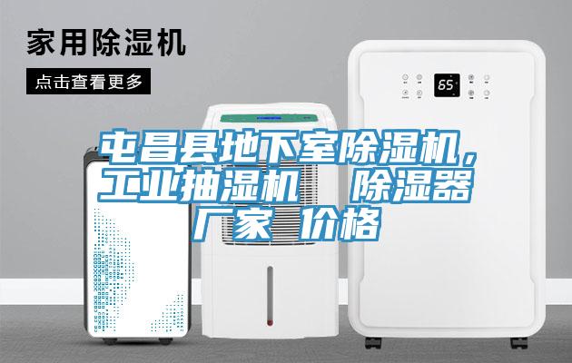 屯昌縣地下室除濕機，工業(yè)抽濕機  除濕器廠家 價格