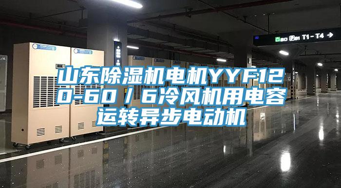 山東除濕機電機YYF120-60／6冷風機用電容運轉(zhuǎn)異步電動機