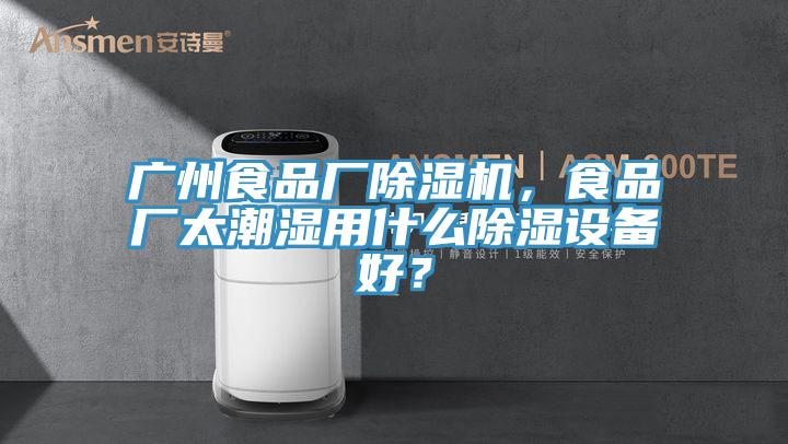 廣州食品廠除濕機，食品廠太潮濕用什么除濕設備好？