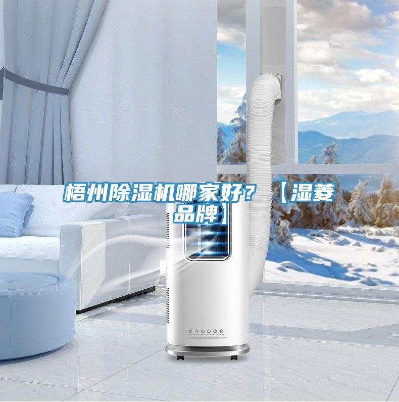 梧州除濕機(jī)哪家好？【濕菱品牌】