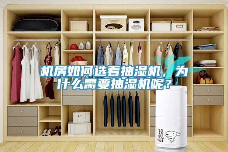 機(jī)房如何選著抽濕機(jī)，為什么需要抽濕機(jī)呢？