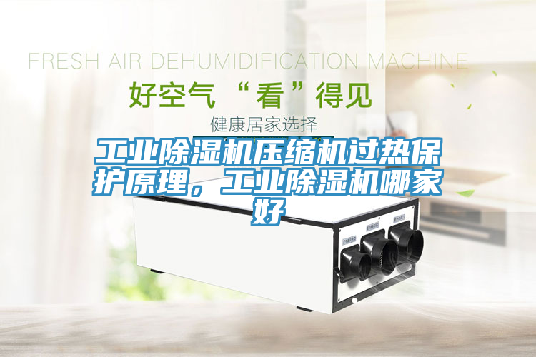 工業(yè)除濕機(jī)壓縮機(jī)過(guò)熱保護(hù)原理，工業(yè)除濕機(jī)哪家好