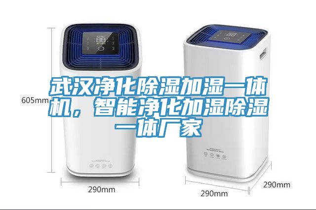 武漢凈化除濕加濕一體機(jī)，智能凈化加濕除濕一體廠家