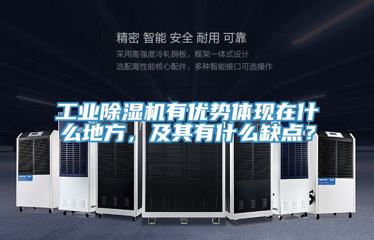 工業(yè)除濕機(jī)有優(yōu)勢(shì)體現(xiàn)在什么地方，及其有什么缺點(diǎn)？