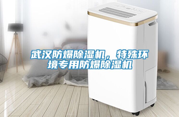 武漢防爆除濕機(jī)，特殊環(huán)境專用防爆除濕機(jī)