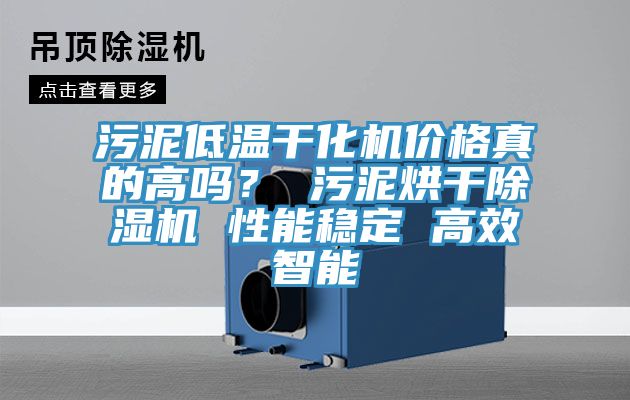 污泥低溫干化機(jī)價(jià)格真的高嗎？ 污泥烘干除濕機(jī) 性能穩(wěn)定 高效智能