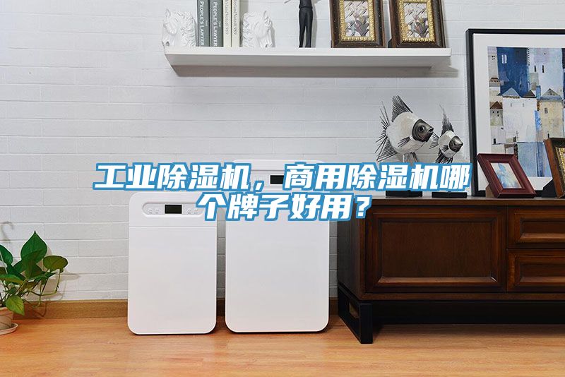 工業(yè)除濕機，商用除濕機哪個牌子好用？