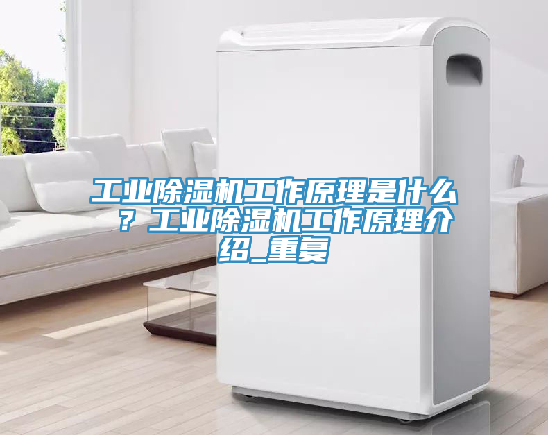 工業(yè)除濕機工作原理是什么 ？工業(yè)除濕機工作原理介紹_重復
