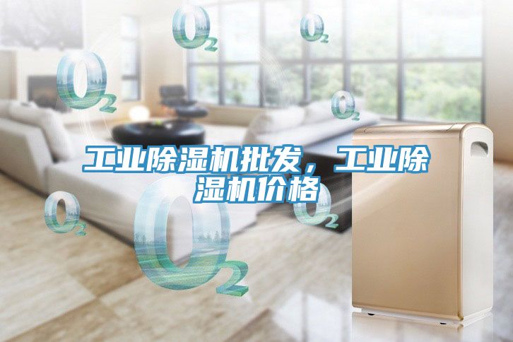 工業(yè)除濕機批發(fā)，工業(yè)除濕機價格