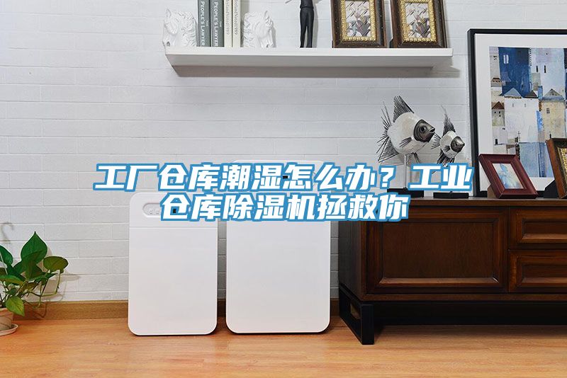 工廠倉庫潮濕怎么辦？工業(yè)倉庫除濕機拯救你