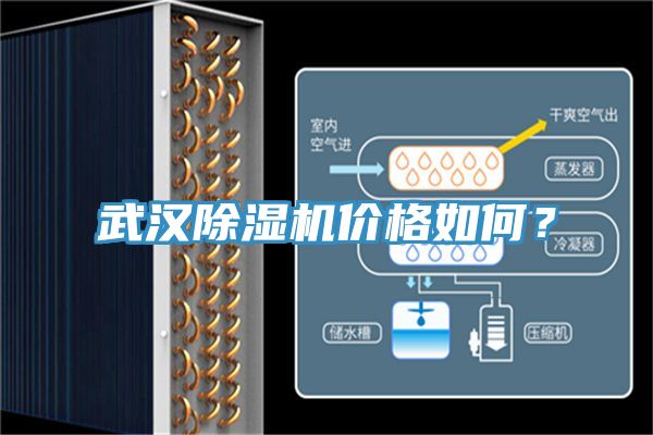 武漢除濕機(jī)價(jià)格如何？
