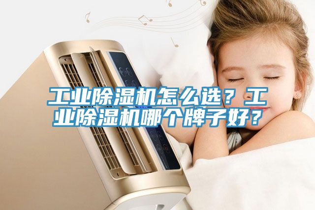 工業(yè)除濕機怎么選？工業(yè)除濕機哪個牌子好？