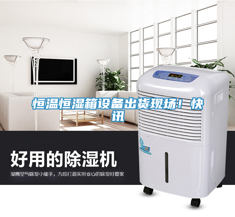 恒溫恒濕箱設(shè)備出貨現(xiàn)場！快訊