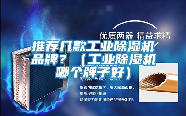 推薦幾款工業(yè)除濕機(jī)品牌？（工業(yè)除濕機(jī)哪個(gè)牌子好）