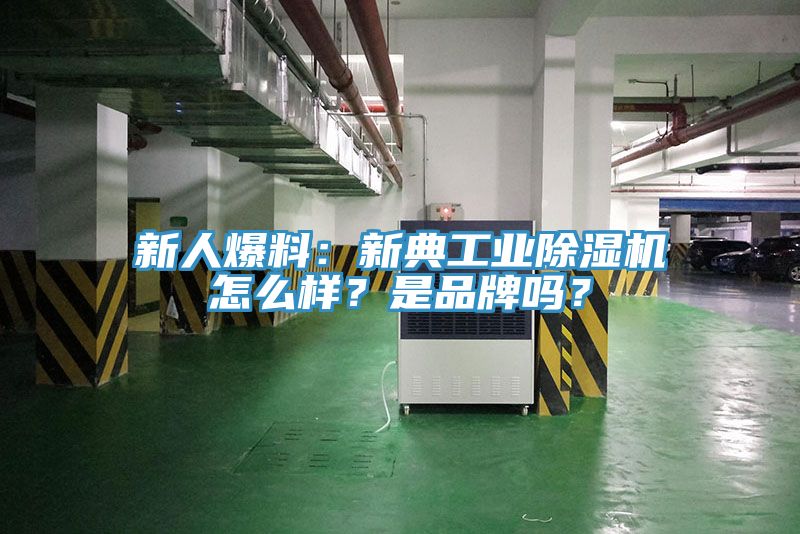 新人爆料：新典工業(yè)除濕機怎么樣？是品牌嗎？