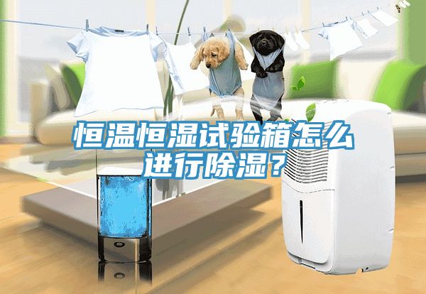 恒溫恒濕試驗(yàn)箱怎么進(jìn)行除濕？