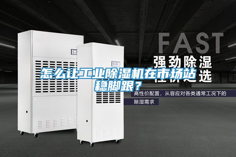 怎么讓工業(yè)除濕機(jī)在市場(chǎng)站穩(wěn)腳跟？