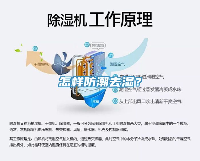 怎樣防潮去濕？