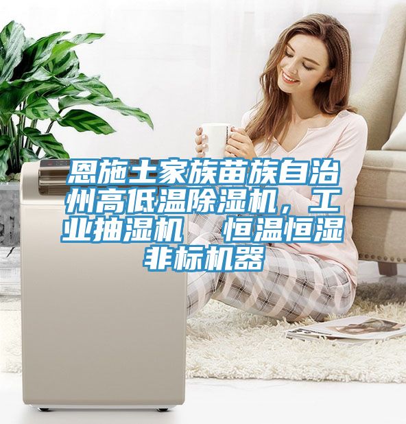 恩施土家族苗族自治州高低溫除濕機，工業(yè)抽濕機  恒溫恒濕非標機器