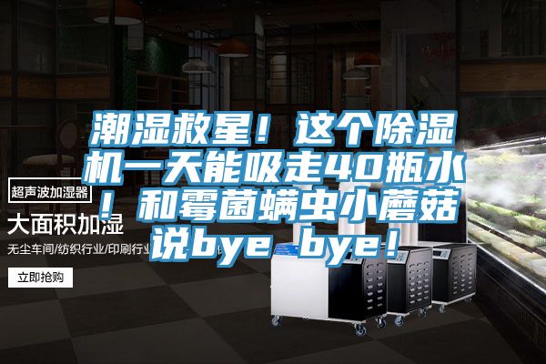 潮濕救星！這個(gè)除濕機(jī)一天能吸走40瓶水！和霉菌螨蟲小蘑菇說(shuō)bye bye！