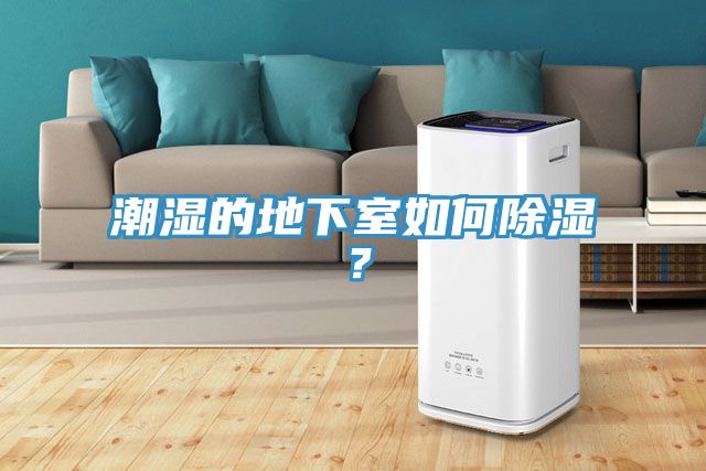 潮濕的地下室如何除濕？