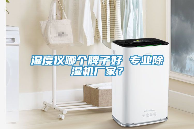 濕度儀哪個牌子好 專業(yè)除濕機廠家？