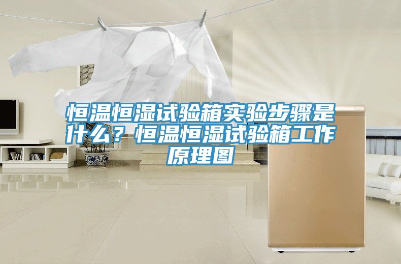 恒溫恒濕試驗箱實驗步驟是什么？恒溫恒濕試驗箱工作原理圖