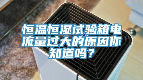 恒溫恒濕試驗箱電流量過大的原因你知道嗎？