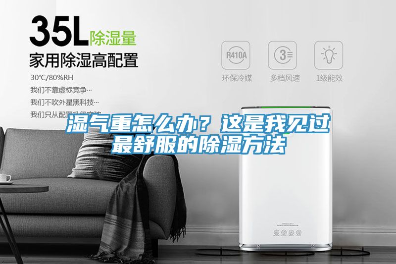 濕氣重怎么辦？這是我見過最舒服的除濕方法