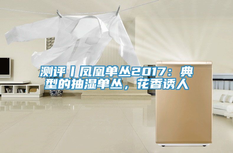 測(cè)評(píng)丨鳳凰單叢2017：典型的抽濕單叢，花香誘人