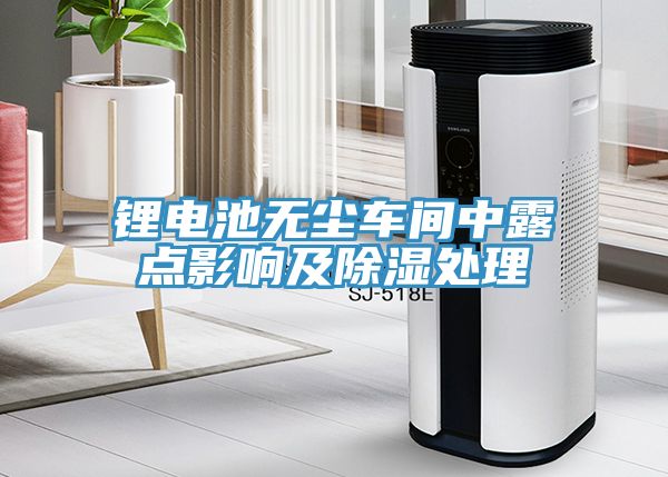 鋰電池?zé)o塵車(chē)間中露點(diǎn)影響及除濕處理