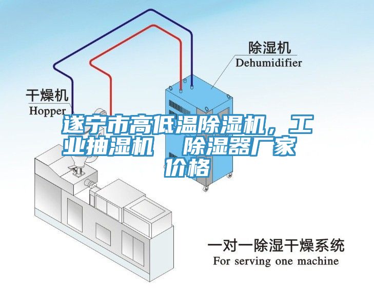 遂寧市高低溫除濕機，工業(yè)抽濕機  除濕器廠家 價格