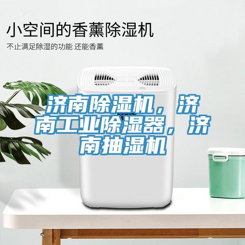 濟南除濕機，濟南工業(yè)除濕器，濟南抽濕機