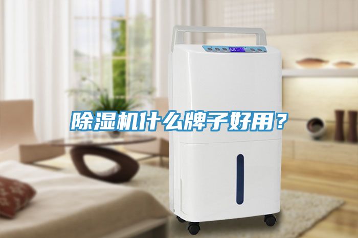 除濕機什么牌子好用？